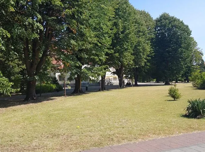 Majaa Banja Koviljača